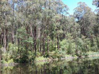Lyrebird Gully Retreat Guest house, Victoria - 1