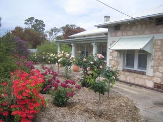 MacDonnell House Naracoorte Bed and breakfast, Naracoorte - 3