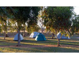 Discovery Parks - Alice Springs Accomodation, Alice Springs - 5