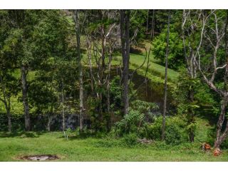 Maleny Country House - Queenslander on Acreage Guest house, Maleny - 4