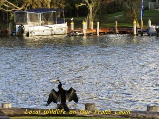 Mandurah Riverfront Holiday Rental Guest house, Western Australia - 5