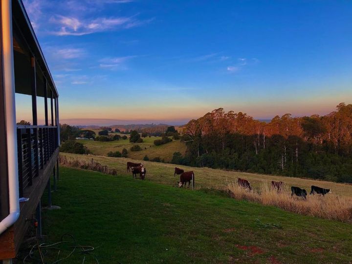 Manna Hill Farm Chalet, Tasmania - imaginea 13