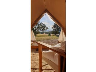 Mansfield Glamping Campsite, Mansfield - 3