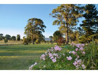 Marigold Cottage - A peaceful mountain getaway Guest house, New South Wales - 5