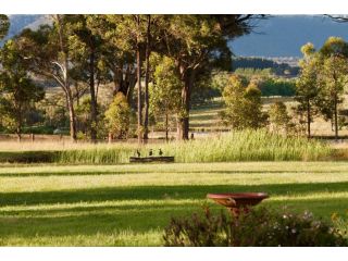 Marigold Cottage - A peaceful mountain getaway Guest house, New South Wales - 2
