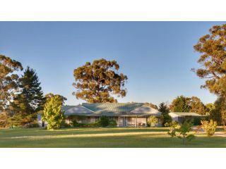 Marigold Cottage - A peaceful mountain getaway Guest house, New South Wales - 1