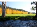 Marysville Garden Cottages Guest house, Marysville - thumb 5