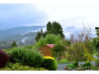 Maydena Mountain Cabins Hotel, Tasmania - 5