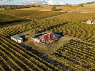 McGill Vineyard Barossa Guest house, South Australia - 2