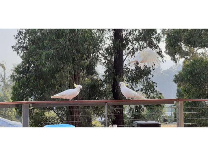 Merry Mary Bed and breakfast, Marysville - imaginea 9