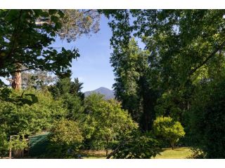 Mi Casa - Healesville Guest house, Healesville - 1