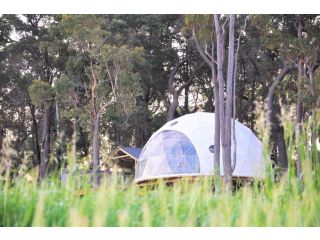 Mile End Glamping Pty Ltd Campsite, Western Australia - 4