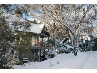 Milkwood Chalet, Thredbo - 2