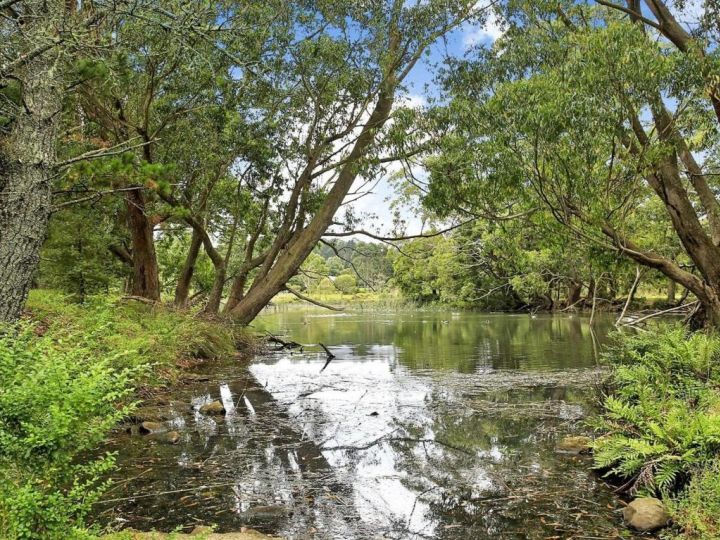 Misty Creek of Robertson - proximity and privacy Guest house, Robertson - imaginea 19