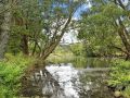 Misty Creek of Robertson - proximity and privacy Guest house, Robertson - thumb 19