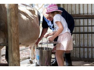 Misty Valley Country Cottages Farm stay, Western Australia - 1