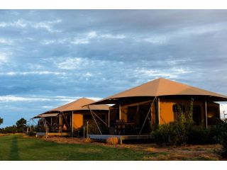 Mitchell Grass Retreat Campsite, Longreach - 5