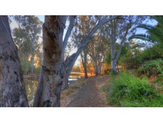 Moama Riverside Holiday Park Accomodation, Moama - 3