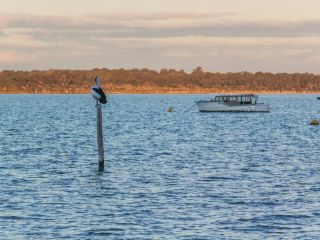 Modern Dawesville Foreshore Family Escape with Views Guest house, Western Australia - 4