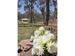 Molly Mac Cottages Villa, Queensland - 3