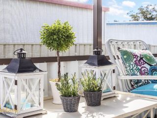 Morton Cottage at Lemon Tree Guest house, Lemon Tree Passage - 4