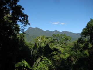 Mossman Gorge Bed and Breakfast Bed and breakfast, Queensland - 2