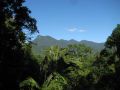 Mossman Gorge Bed and Breakfast Bed and breakfast, Queensland - thumb 2