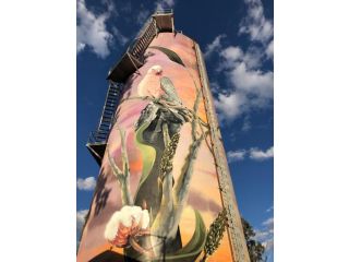 Moura Motel Hotel, Queensland - 3