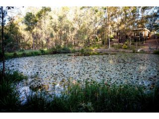 Mt Cotton Retreat Hotel, Queensland - 4