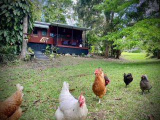 Mt Nebo Railway Carriage and Chalet Guest house, Victoria - 1