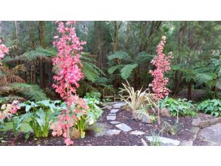 Myers Creek Cascades Luxury Cottages Bed and breakfast, Healesville - 3