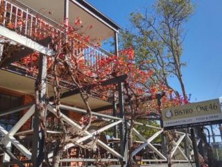 Myrtle Tree Lodge - Trunks Apartment, Kangaroo Valley - 1