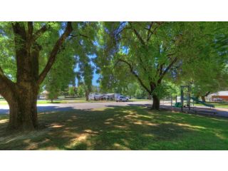 Myrtleford Holiday Park Campsite, Myrtleford - 5