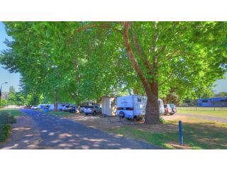 Myrtleford Holiday Park Campsite, Myrtleford - 1