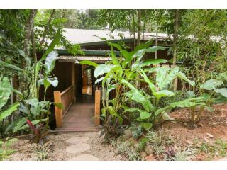 Neverland - The Stoney Creek Treehouse Guest house, Queensland - 1