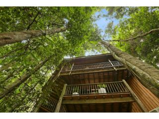 Neverland - The Stoney Creek Treehouse Guest house, Queensland - 2