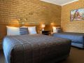 Newell Motor Inn Narrandera Hotel, Narrandera - thumb 10