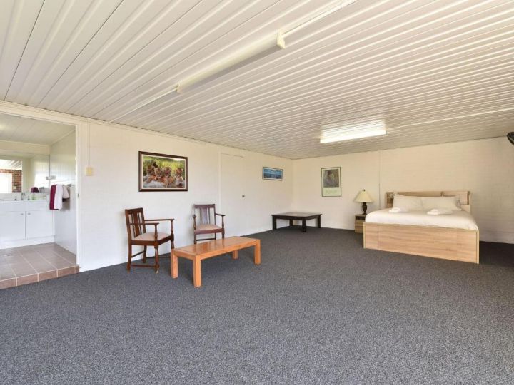 Noble Willow Studio Lovedale. Spacious, with views and pool Guest house, Lovedale - imaginea 4