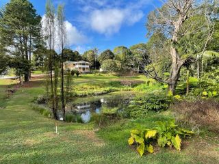 NEW Nordic Star - Cosy Home in Nature with Lake, near town Guest house, Maleny - 4