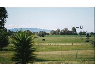 Orroroo Nuccaleena Cottage Guest house, South Australia - 1