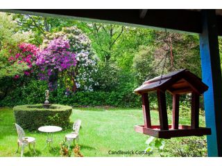 Observatory Cottages Bed and breakfast, Mount Dandenong - 4