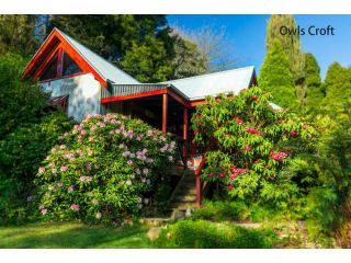 Observatory Cottages Bed and breakfast, Mount Dandenong - 5