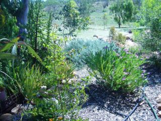 Old Miners' Cottages Bed and Breakfast Bed and breakfast, Western Australia - 2