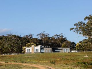 On A Hill - modern country home near Braidwood Guest house, New South Wales - 5