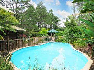 Orange Blossom Retreat Guest house, Kangaroo Valley - 5