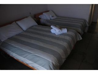 Otway Junction Motor Inn Hotel, Victoria - 4