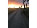 Outback Cellar & Country Cottage Guest house, Dubbo - thumb 18