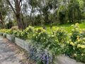 Outlook Hill Garden Estate Villa, Victoria - thumb 12