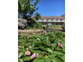 Seaside Garden Retreat Accommodation Hotel, Wamberal - thumb 16