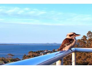 Pacific Waters - Unbeatable Views of Port Stephens Guest house, Nelson Bay - 2